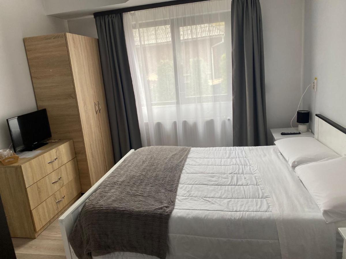 Casa Mocanitei Viseu de Sus Ngoại thất bức ảnh