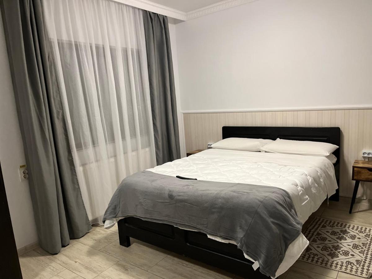 Casa Mocanitei Viseu de Sus Ngoại thất bức ảnh
