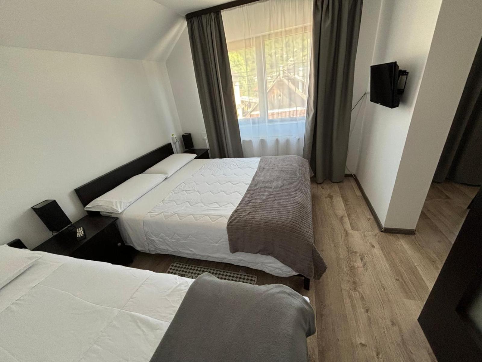 Casa Mocanitei Viseu de Sus Ngoại thất bức ảnh