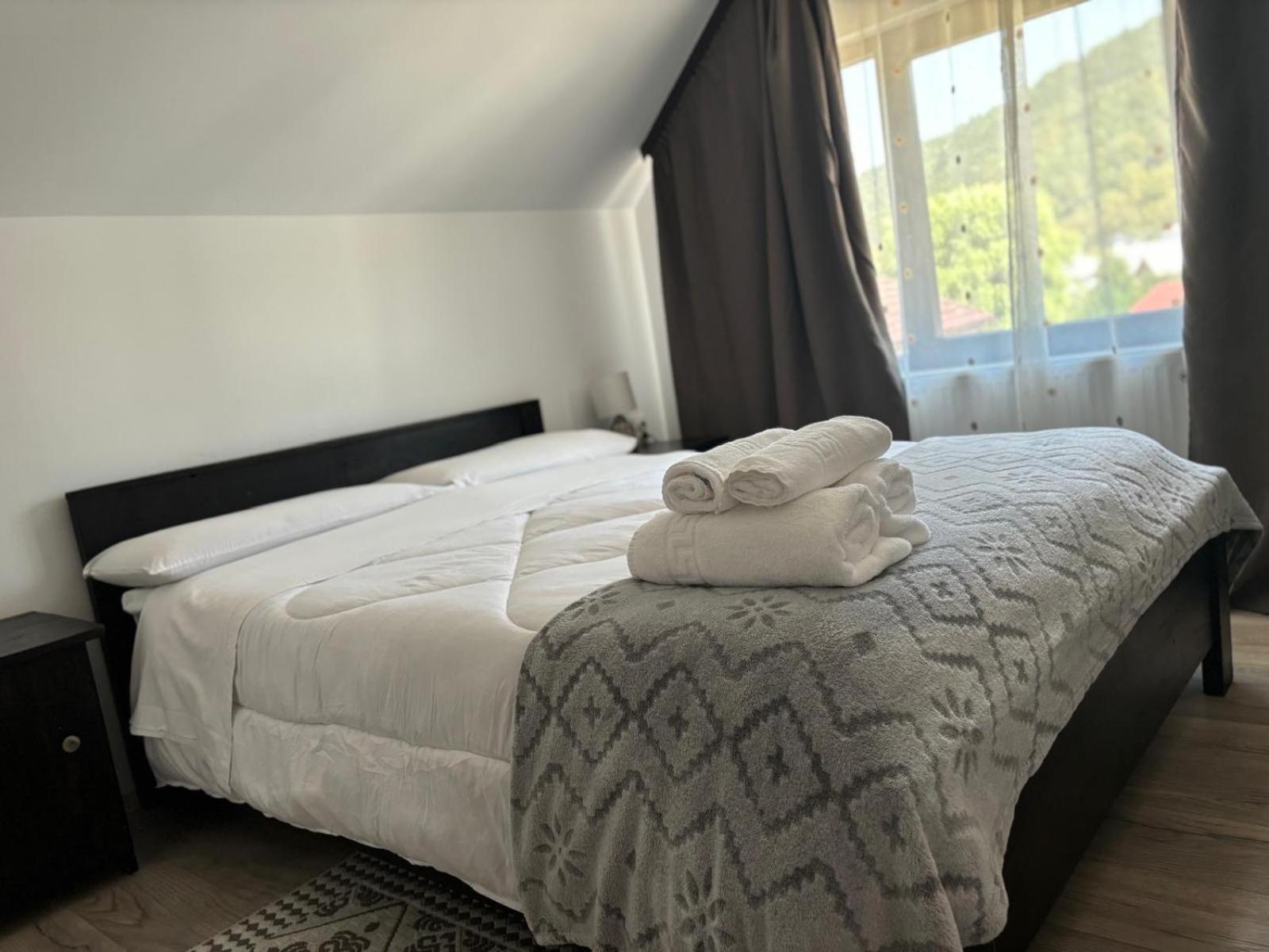 Casa Mocanitei Viseu de Sus Ngoại thất bức ảnh
